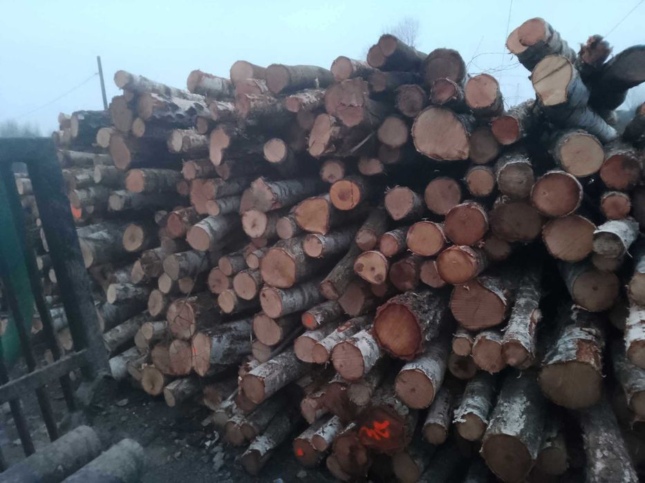 drewno kominkowe opałowe Transport gratis !!