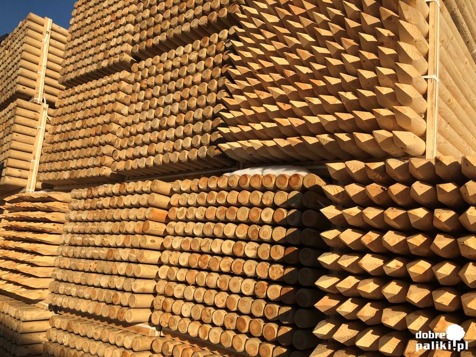 Palik, Palisada, Palik drewniany, Palisada drewniana, fi10 fi12