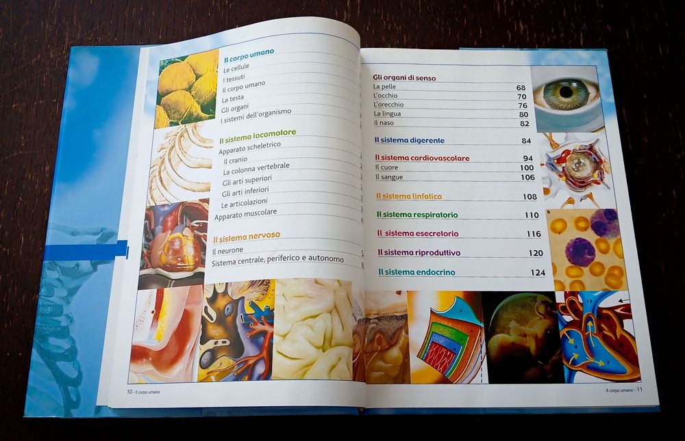Livro IL CORPO UMANO Grande Atlante di Anatomia