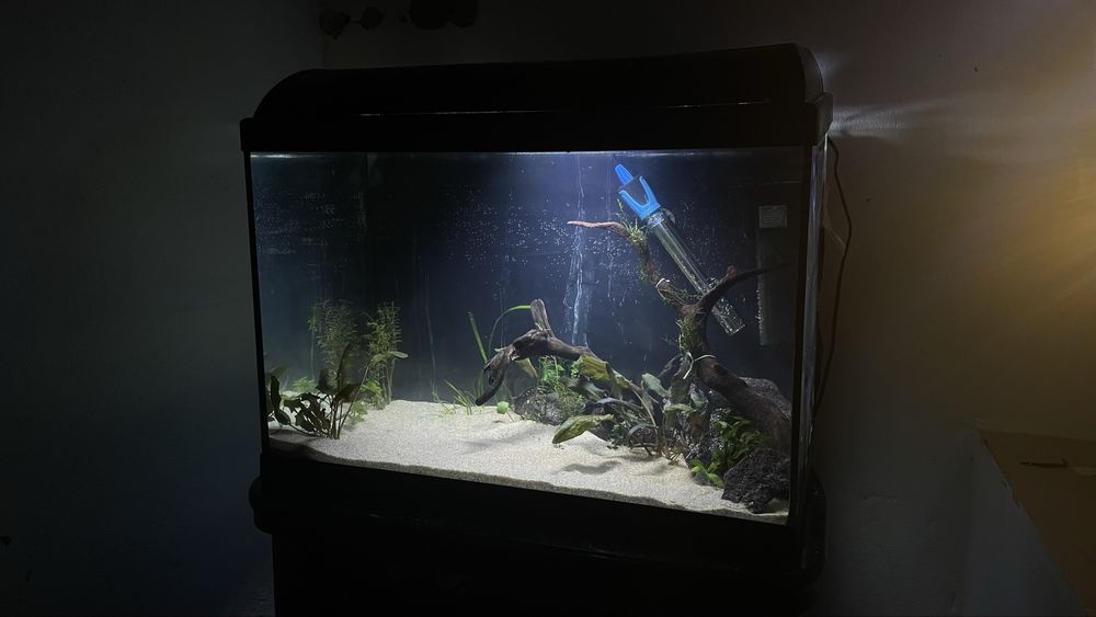 Aquário 85L  Montado C/ Móvel e Acessórios