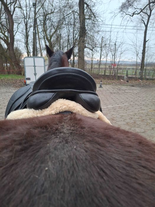 Siodlo ujeżdżeniowe ANKY