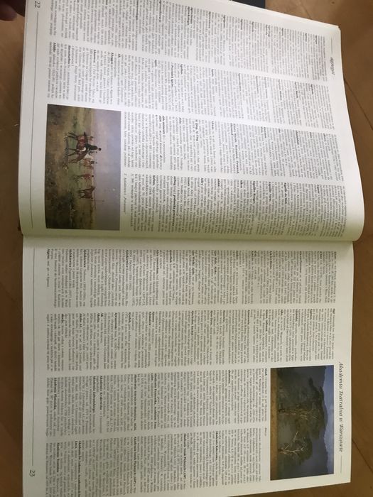 Encyklopedia Powszechna Ryszard Kluszczyński