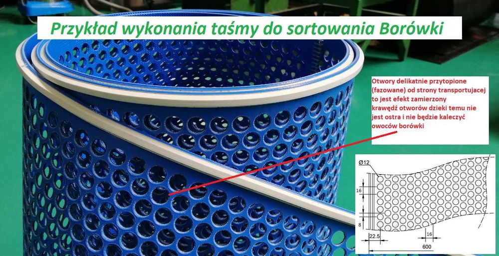 Taśma do sortowania borówki, aronii, jagód, porzeczki, bobu itp.