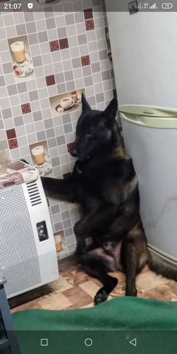 В'язка! Шукаємо подругу)