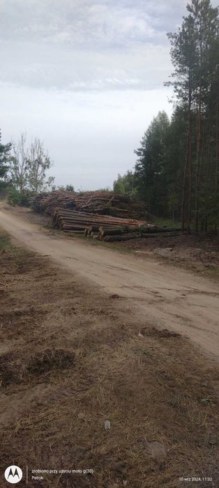 Wycinka  drzew Mulczowanie Czyszczenie działek