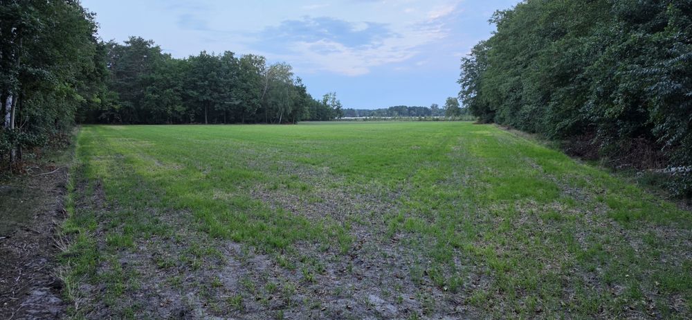 Działka inwestycyjna - Widok 2