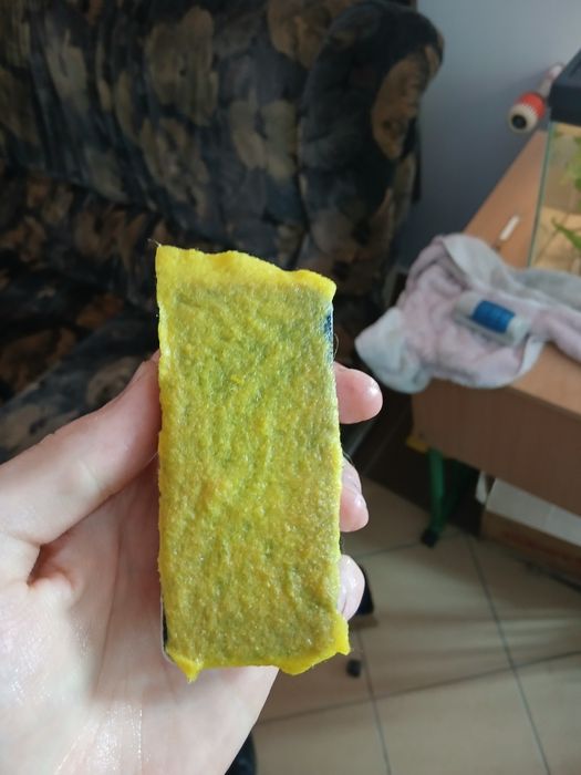 Акваріумні аксесуари