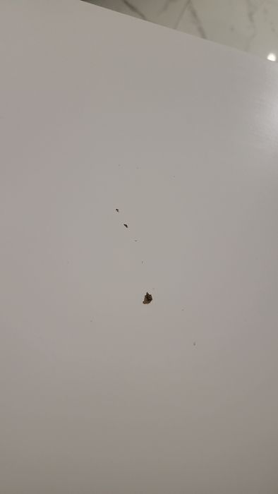 Biurko 120x60 + nogi regulowane