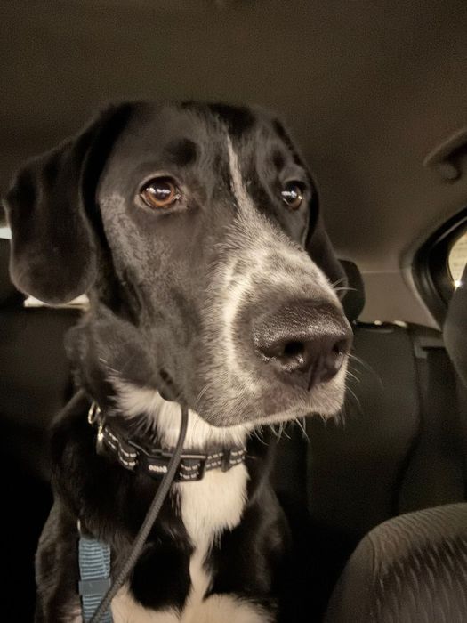 Duks procura novo lar