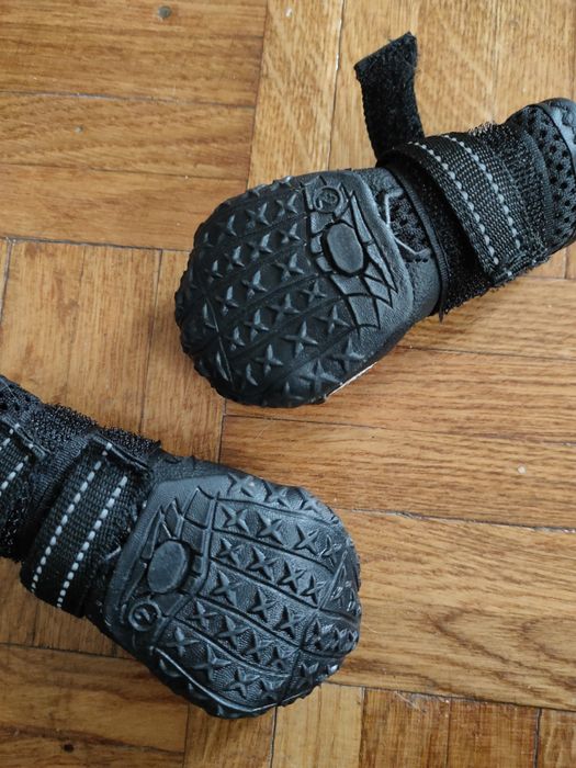 Buty dla małego psa