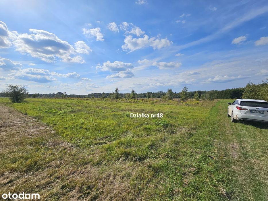 Własne Miejsce W Puszczy Białowieskiej–Cisza, Natura I Off-Grid 0,56Ha