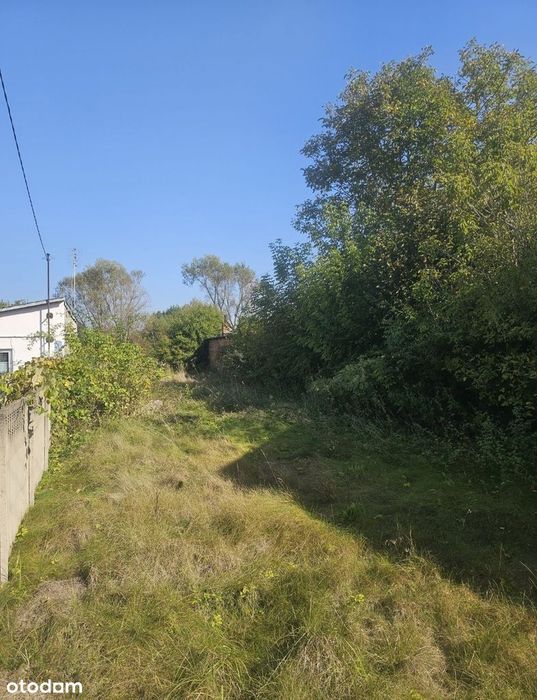 Działka rolna 4200m, przy głównej drodze ul. Miodowa Bartniki OKAZJA!