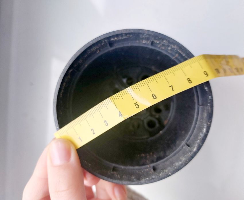 Małe doniczki (50 szt.) do sadzenia warzyw 0.33l