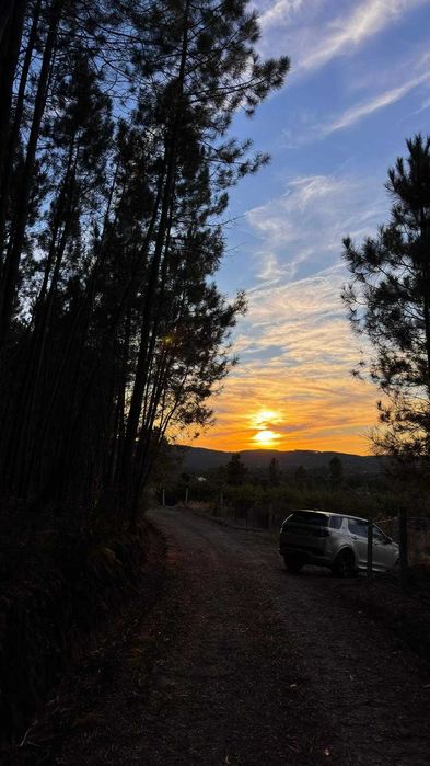 Terreno florestal à venda – Enxames (Fundão)