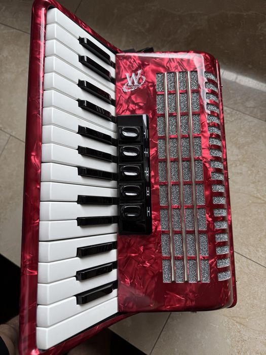 Akordeon weltmeister 60