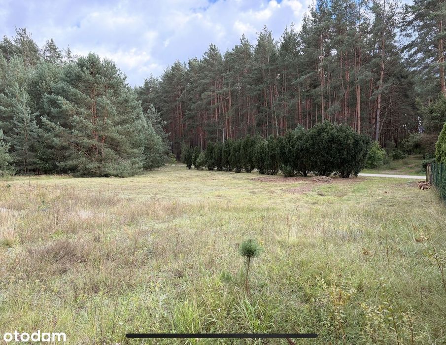 Piękna działka w super lokalizacji Długosiodło | Spokojna okolica - Widok 5