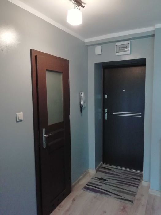 wynajmę mieszkanie 38m