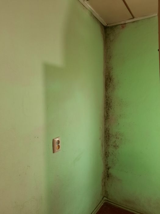 Клінінг, косметичний ремонт