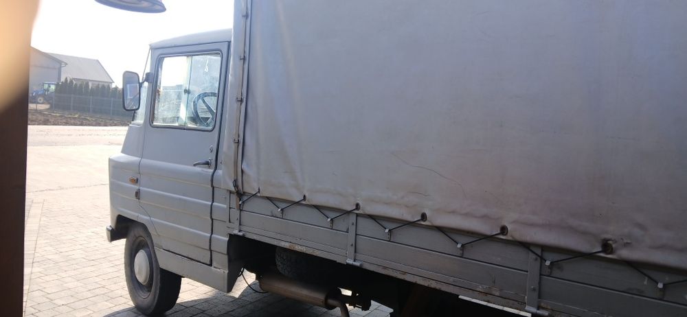 Sprzedam ładnego żuka