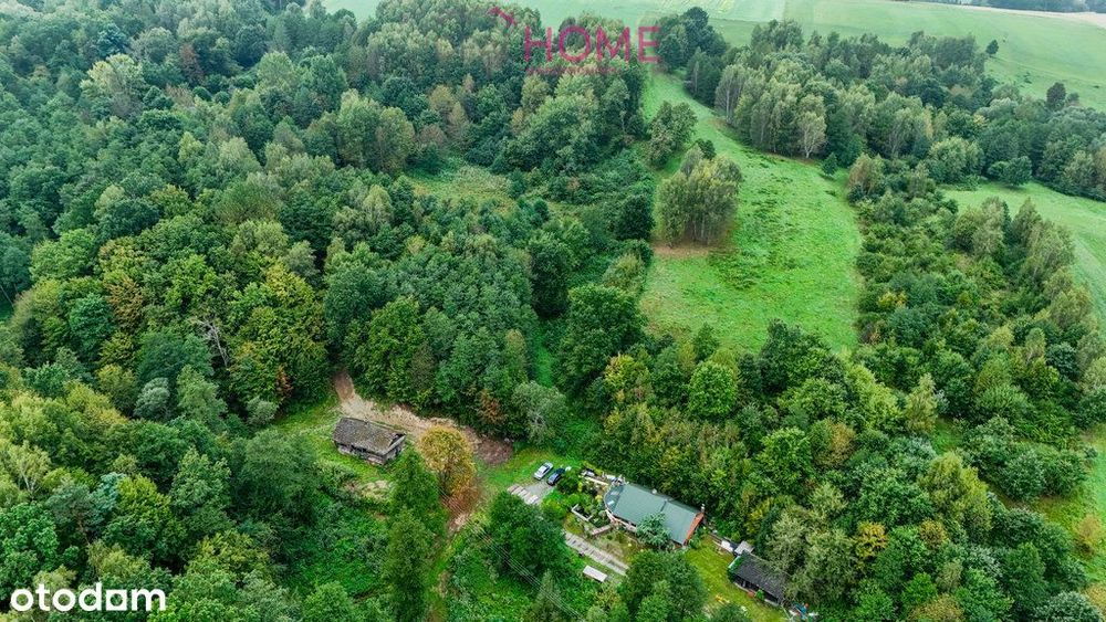 Nowy Borek 1,3675 ha- w trakcie Wz zagrodowa