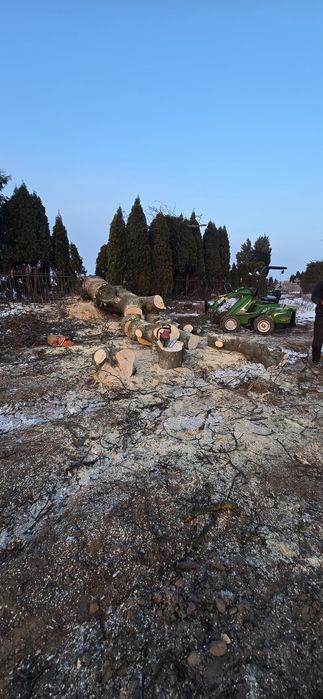 Wycinka drzew,  karczowanie działek, usługi rębakiem