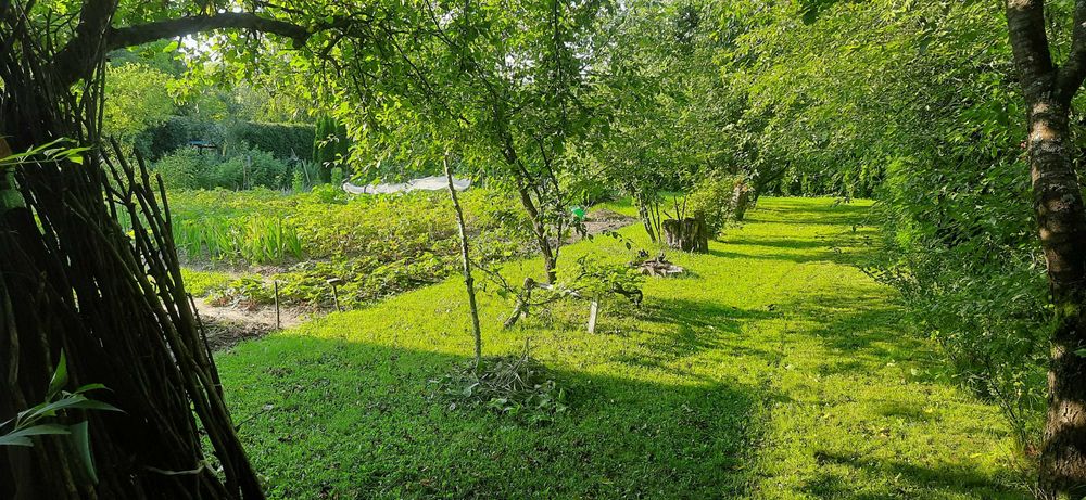 Sprzedam działkę na Ogródkach Działkowych Hutnik ul. 17 Stycznia Jasło