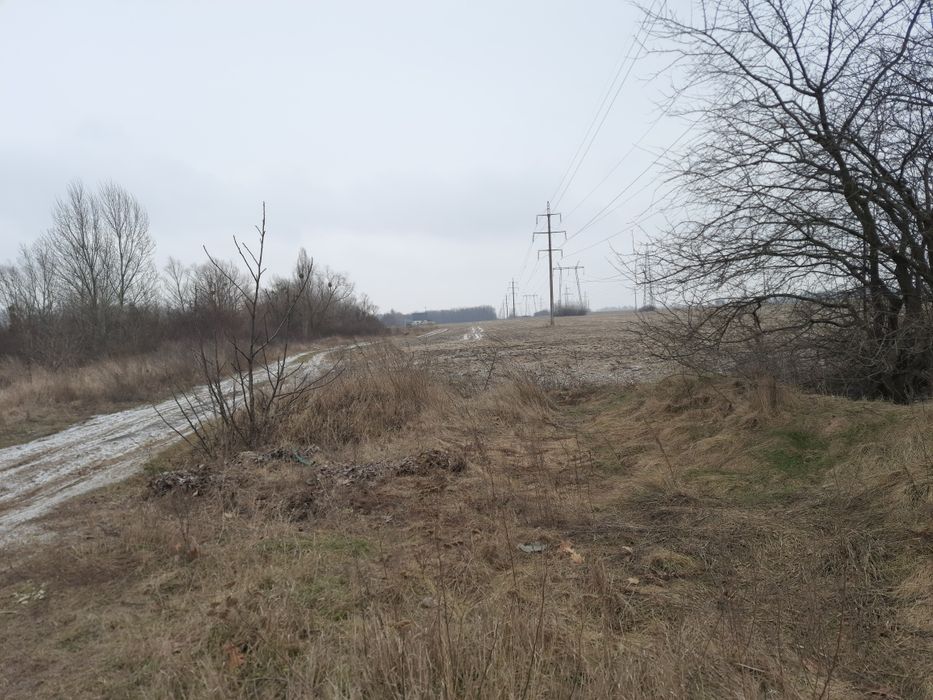 С. Крюковщина продам участок ОСГ 60 сот - View 3