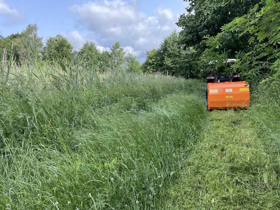 Kosimy Ścinamy Wycinamy i Karczujemy