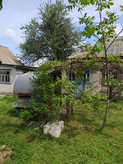Будинок, дача біля річки