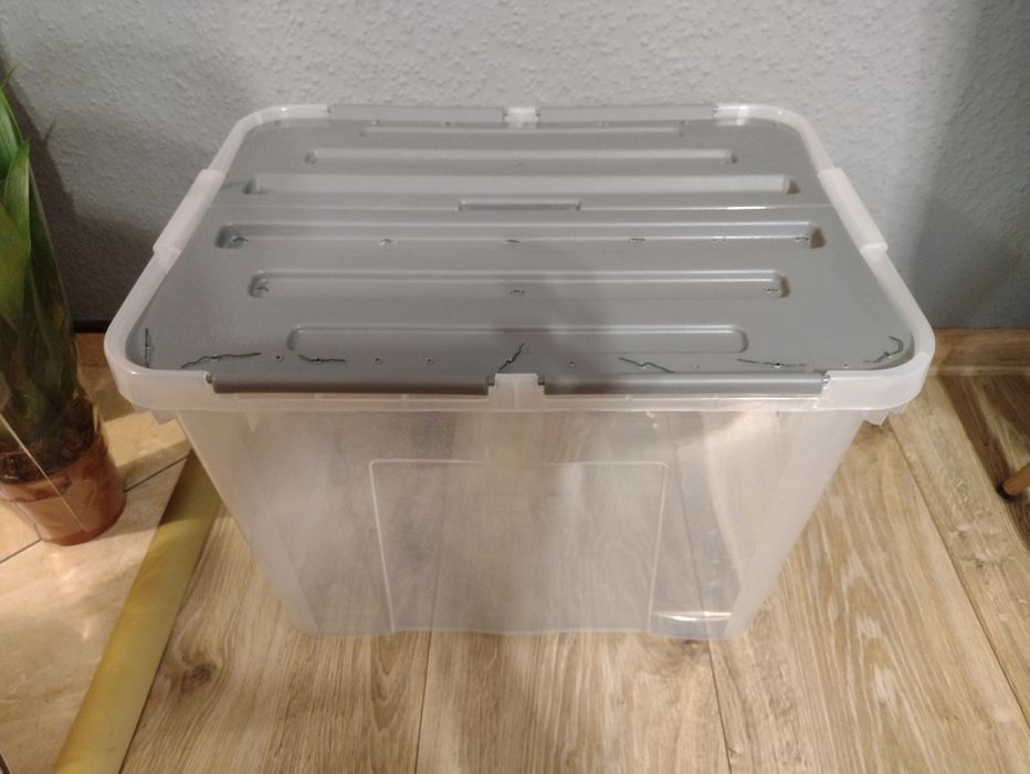 Pojemnik, terrarium na straszyki, patyczaki