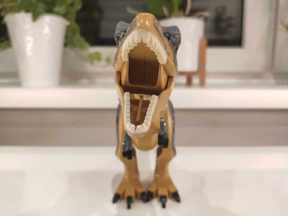 Dinozaur tyranozaur dinosaur nowy szary
