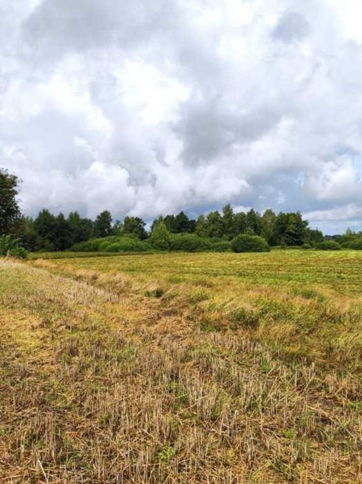 ziemia 4,85 ha , łąki i nieużytki