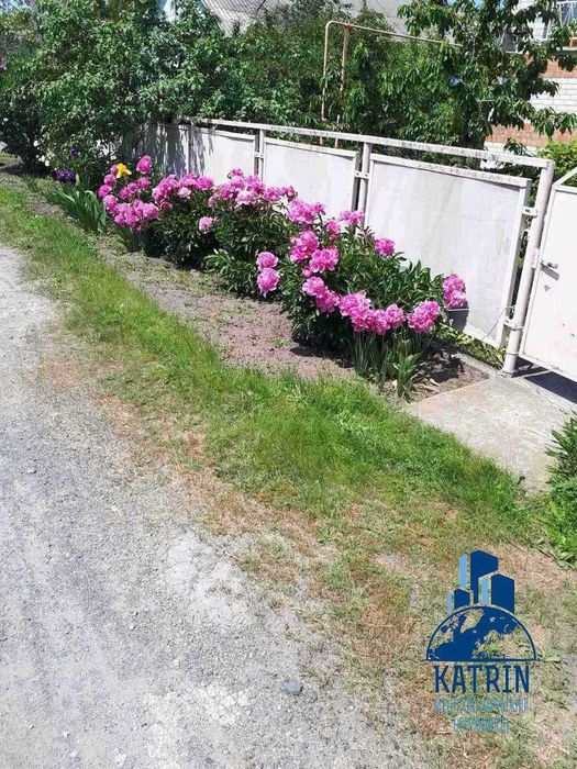 Продам будинок в селищі Царичанка