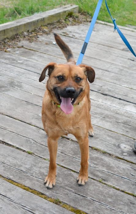 Czy zasługuję na dom?