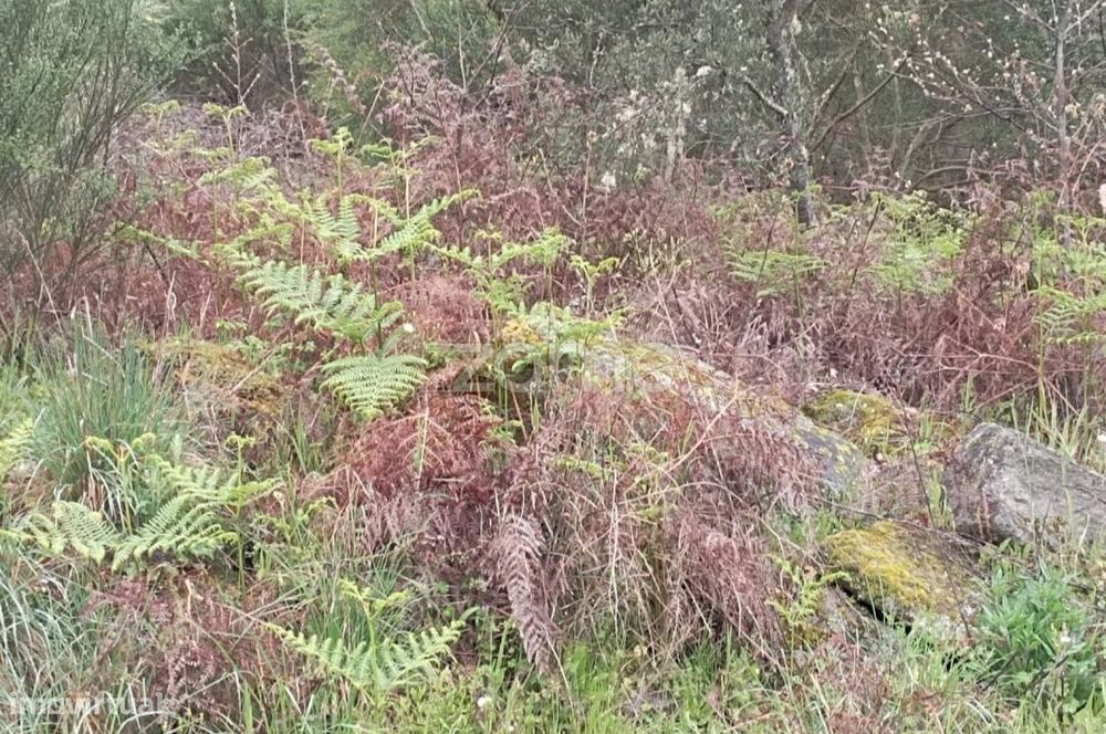 Terreno Urbano a 5 kms da cidade de Chaves
