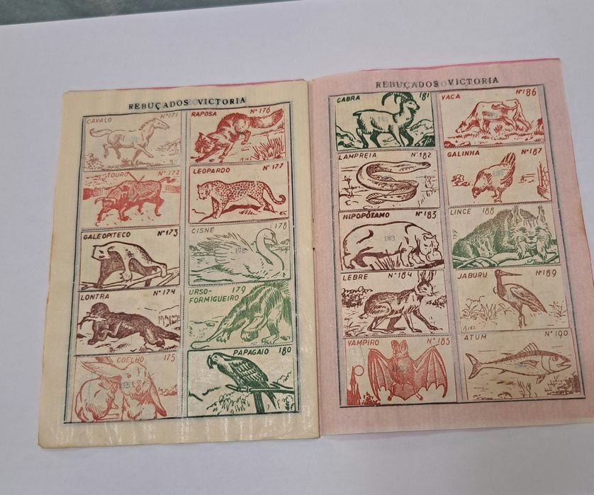 Caderneta ( Vitoria]