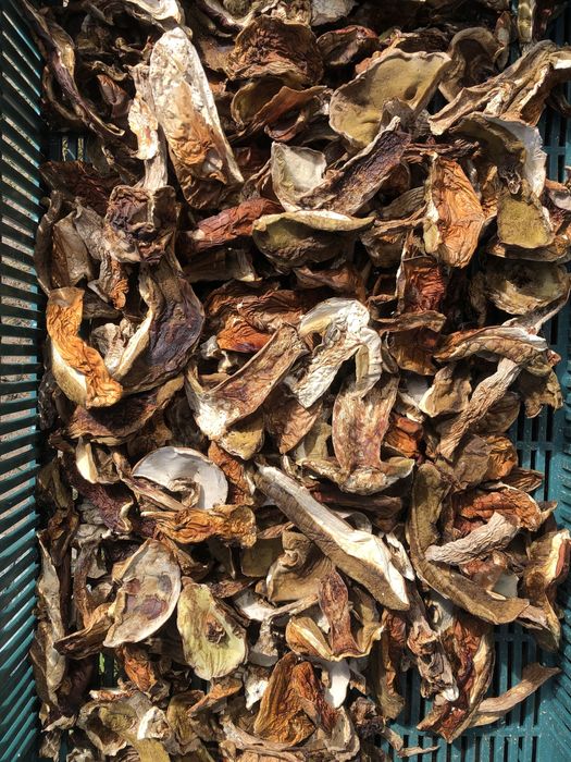 Сухий білий гриб, сушені гриби