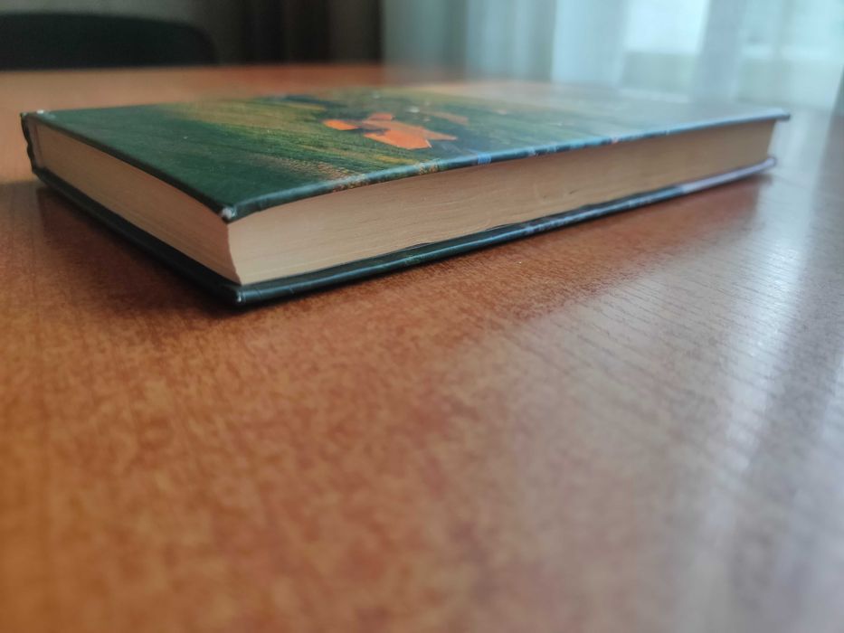 Продам книгу "Стара холера" Володимир Лис хороший стан Роман