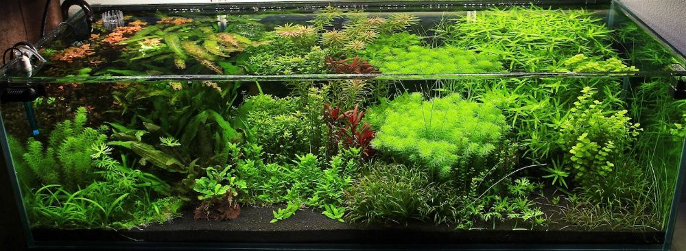 Большой выбор аквариумных грунтов