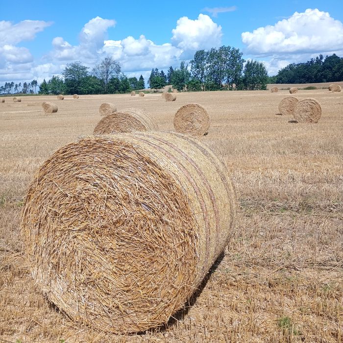 Spszedam słome po prasie McHale bele 135 cm cena 85 zł