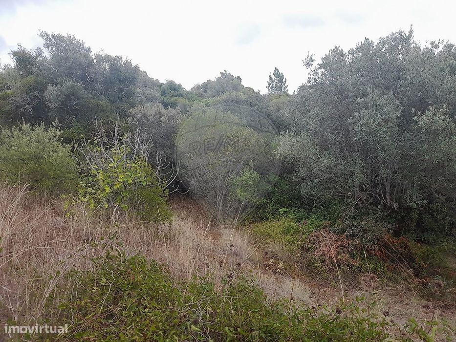 Terreno  para venda