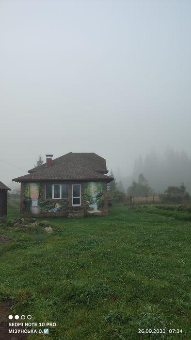 Художник розпис стін барельєф  розпис вітрин вікон ліпка ліпнина декор