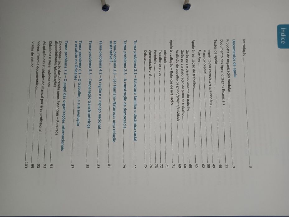 PRO em AI 2º Ano E. Profissional Texto Dossier do professor  NOVO!*