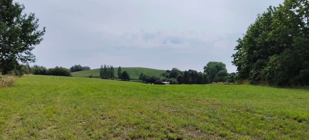 Działka nad jeziorem