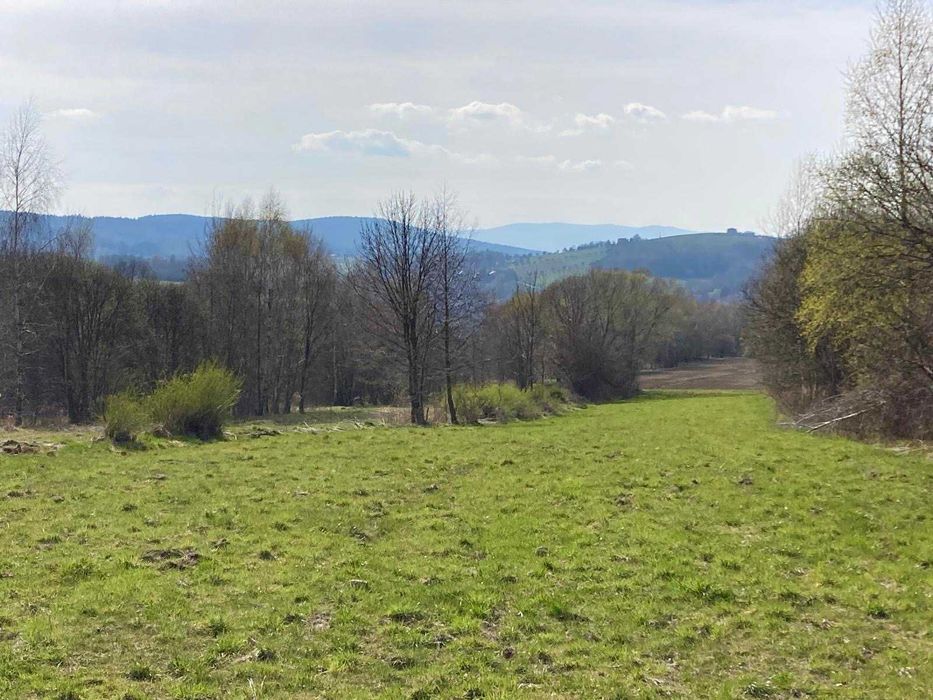 Widokowa działka budowlano-rolna w Lanckoronie