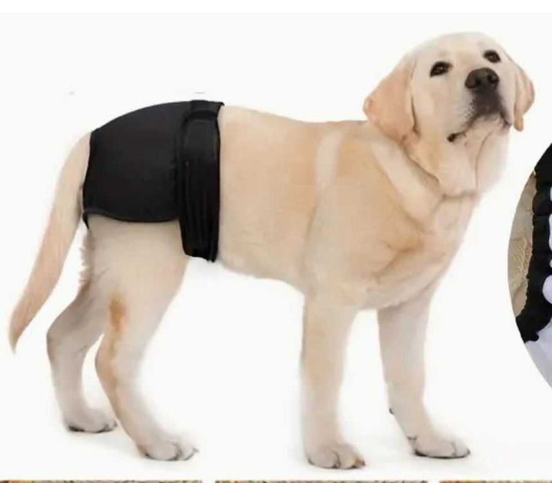 Fralda / Calção (reutilizável) para Cão ou Gato.