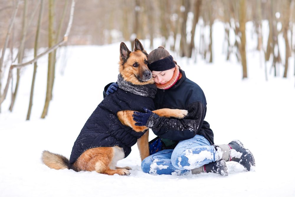 BARD - mądry, aktywny i pełen potencjału pies w typie owczarka