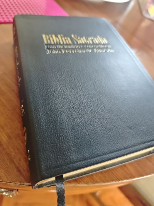 Bíblia sagrada - com dicionário e concordância
