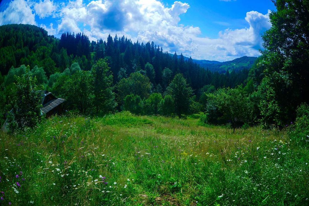 Продам Землю Карпаты Косовский район Ивано-Франковска область