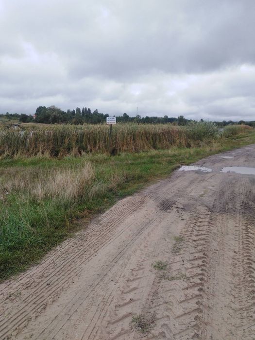 Продам будинок з великою ділянкою в с. Пилиповичі